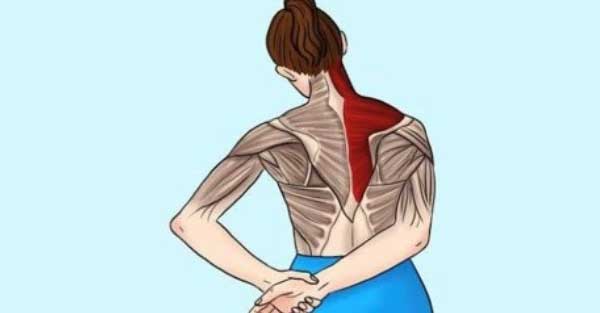 کشش عضله ی تراپزیوس