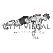 scapular push upشنا یا نزدیک کردن کتف ها