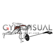 ددلیفت لندماین تک پا