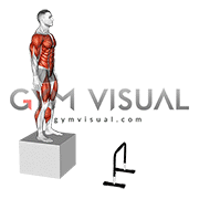 دپث جامپdepth jump