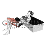پل باسن دمبل روی میز