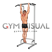بارفیکس با نزدیک کردن کتف هاscapular pull up