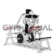 سی سی اسکوات دستگاه
